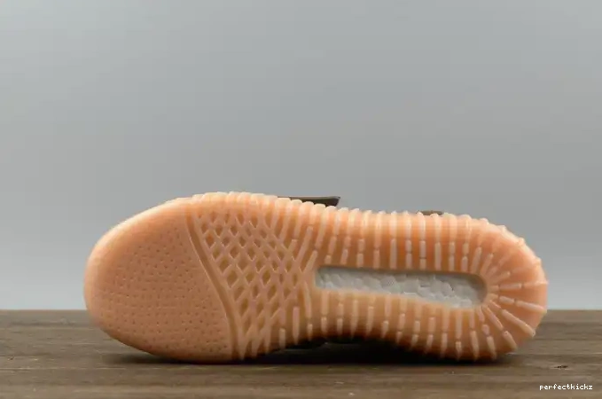 BY2456 Light 750 Yeezy adidas Boost Brown 0522